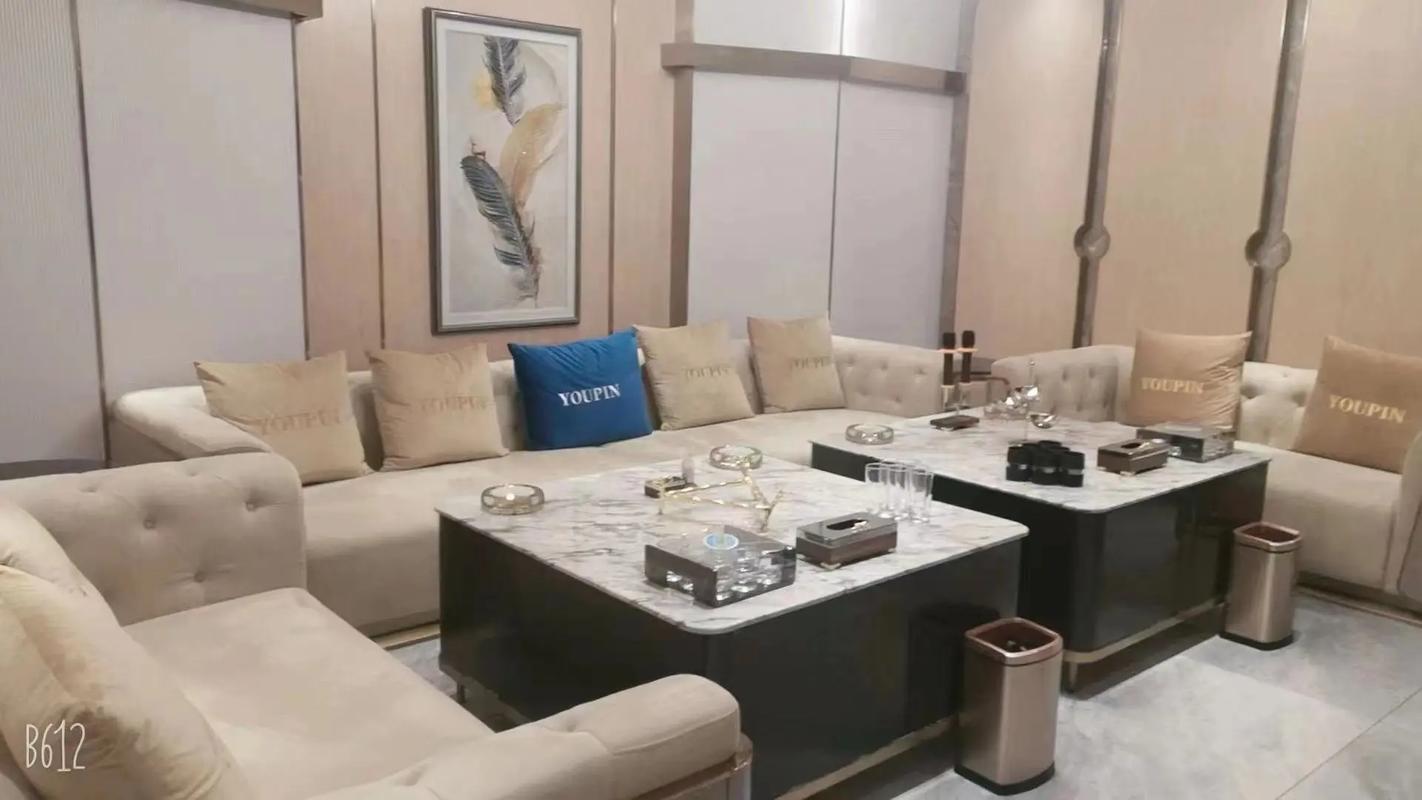 湛江商务ktv体验商务ktv好吗-廉江市ktv预定